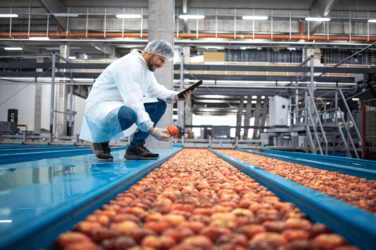 Food Manufacturing